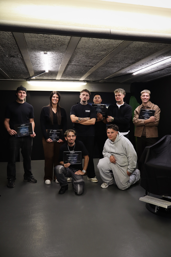 Treatment professional 6 mois